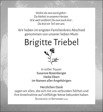 Traueranzeige von Brigitte Triebel von Südthüringer Presse