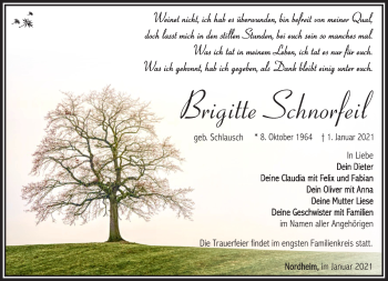 Traueranzeige von Brigitte Schnorfeil von Südthüringer Presse