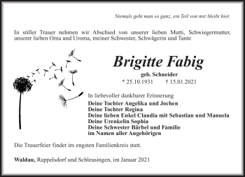 Traueranzeige von Brigitte Fabig von Südthüringer Presse