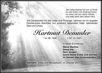 Traueranzeige von Hartmut Demmler von Südthüringer Presse