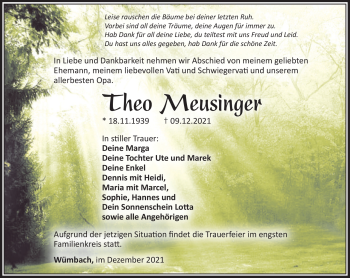 Traueranzeige von Theo Meusninger von Südthüringer Presse