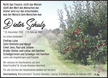 Traueranzeige von Dietmar Schulz von Südthüringer Presse