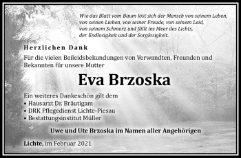 Traueranzeige von Eva Brzoska von Südthüringer Presse