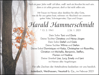 Traueranzeige von Harald Hammerschmidt von Südthüringer Presse