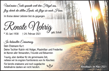 Traueranzeige von Renate Nehrig von Südthüringer Presse