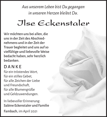Traueranzeige von Ilse Eckenstaler von Südthüringer Presse