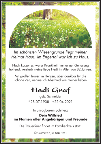 Traueranzeige von Hedi Graf von Südthüringer Presse
