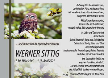 Traueranzeige von Werner Sittig von Südthüringer Presse