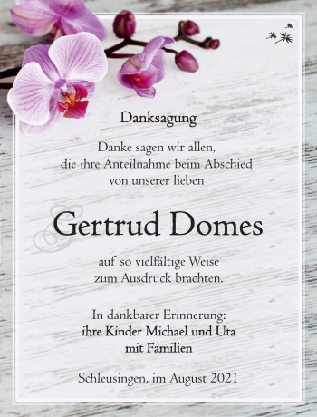 Traueranzeige von Gertrud Domes von Südthüringer Presse