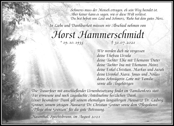 Traueranzeige von Horst Hammerschmidt von Südthüringer Presse