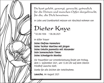 Traueranzeige von Dieter Knye von Südthüringer Presse