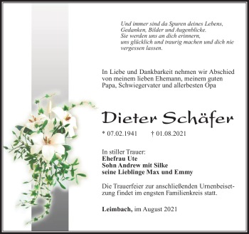 Traueranzeige von Dieter Schäfer von Südthüringer Presse