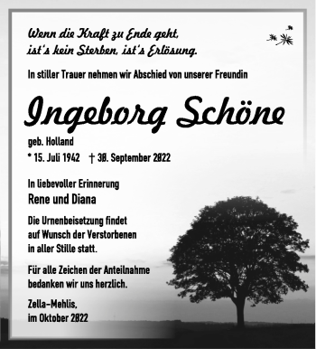 Traueranzeige von Ingeburg Schöne von Südthüringer Presse