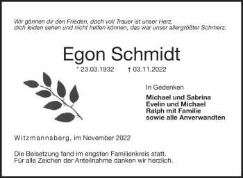 Traueranzeige von Egon Schmidt von Neue Presse Coburg