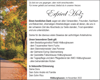 Traueranzeige von Erfried Holz von Südthüringer Presse