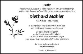 Traueranzeige von Diethard Mahler von Südthüringer Presse
