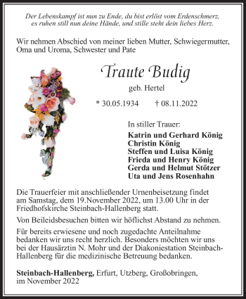 Traueranzeige von Traute Budig von Südthüringer Presse