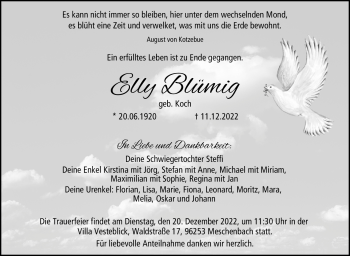 Traueranzeige von Elly Blümig von Neue Presse Coburg