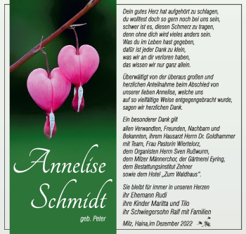 Traueranzeige von Annnelise Schmidt von Südthüringer Presse