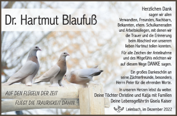 Traueranzeige von Dr.Hartmut Blaufuß von Südthüringer Presse