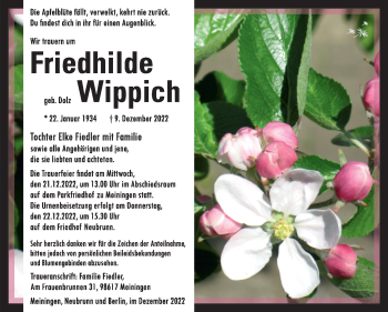 Traueranzeige von Friedhilde Wippich von Südthüringer Presse