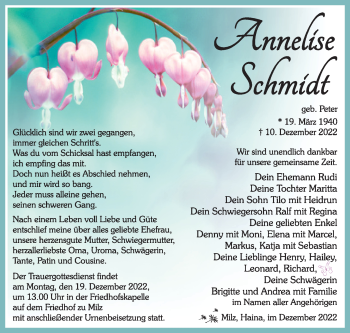 Traueranzeige von Anneliese Schmidt von Südthüringer Presse