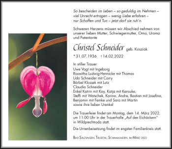 Traueranzeige von Christel Schneider von Südthüringer Presse