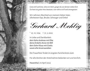 Traueranzeige von Gerhard Mehlig von Südthüringer Presse