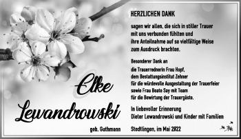 Traueranzeige von Elke Lewandrowski von Südthüringer Presse