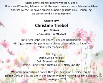 Traueranzeige von Christine Triebel von Südthüringer Presse