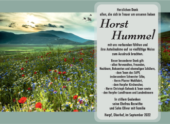 Traueranzeige von Horst Hummel von Südthüringer Presse