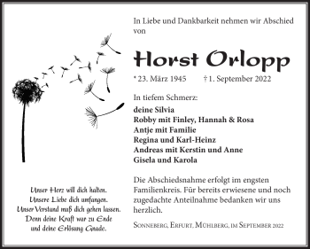 Traueranzeige von Horst Orlopp von Südthüringer Presse