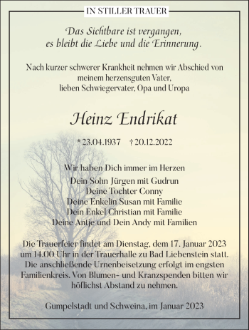 Traueranzeige von Heinz Endrikat von Südthüringer Presse