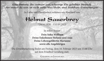 Traueranzeige von Helmut Sauerbrey von Südthüringer Presse