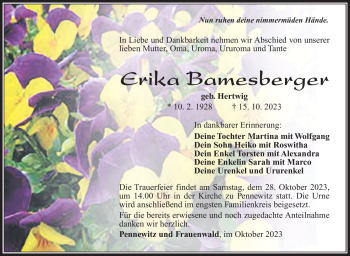 Traueranzeige von Erika Bamesberger von Südthüringer Presse
