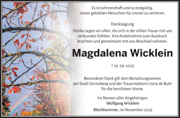 Traueranzeige von Magdalena Wicklein von Südthüringer Presse
