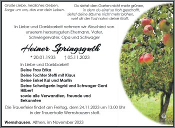 Traueranzeige von Heiner Springsguth von Südthüringer Presse