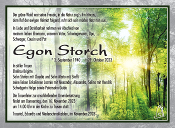 Traueranzeige von Egon Storch von Südthüringer Presse