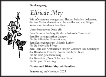 Traueranzeige von Elfriede Mey von Südthüringer Presse