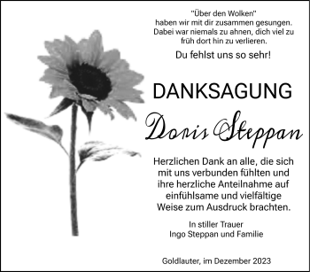 Traueranzeige von Doris Steppan von Südthüringer Presse