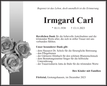 Traueranzeige von Irmgard Carl von Südthüringer Presse