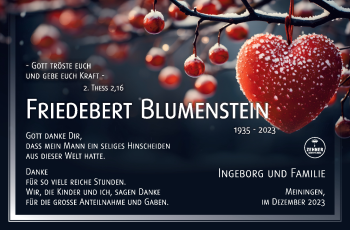 Traueranzeige von Friedebert Blumenstein von Südthüringer Presse