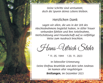 Traueranzeige von Hans-Ulrich Stehr von Südthüringer Presse