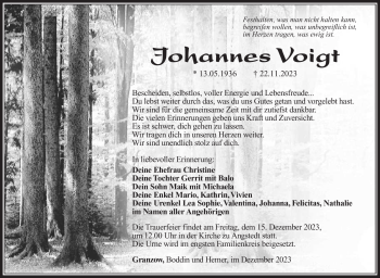 Traueranzeige von Johannes Voigt von Südthüringer Presse