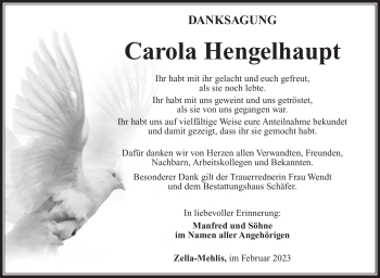 Traueranzeige von Carola Hengelhaupt von Südthüringer Presse