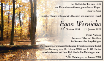 Traueranzeige von Egon Wernicke von Südthüringer Presse