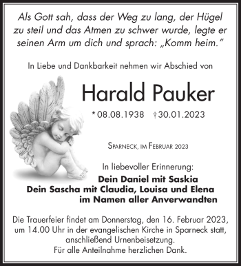 Traueranzeige von Harald Pauker von Frankenpost