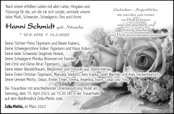 Traueranzeige von Hanni Schmidt von Südthüringer Presse