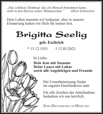 Traueranzeige von Brigitta Seelig von Südthüringer Presse