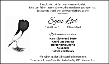 Traueranzeige von Egon Lieb von Neue Presse Coburg